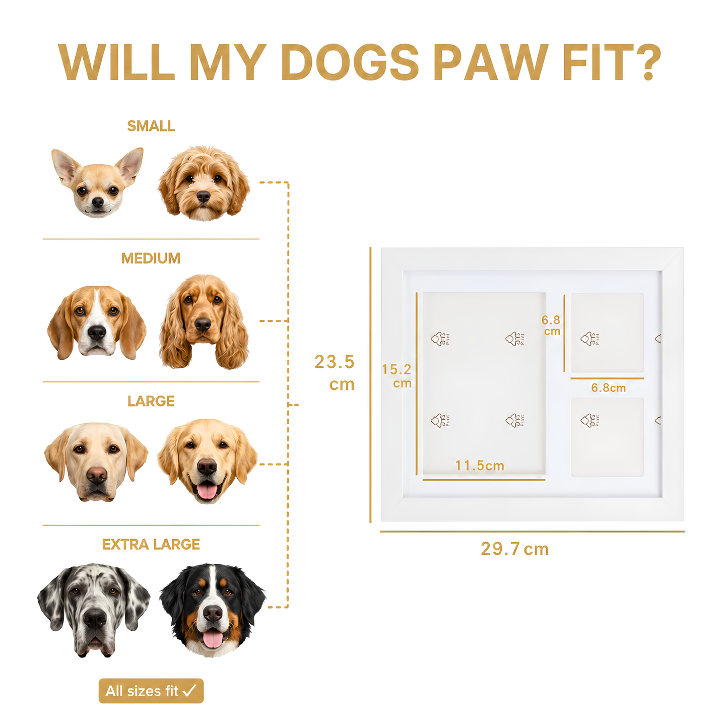PawKeeps™ Clay Keepsake Kit
